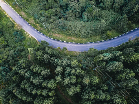 Aerial view of a winding asphalt road, sharply contrasting with the deep emerald and olive hues of the dense, textured forest canopy, Obudu, Cross River, Nigeria.