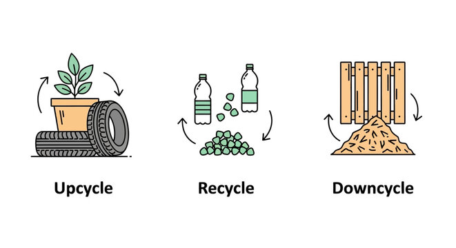 Conceptual overview of sustainable material transformation processes upcycling, recycling, and downcycling methods for environmental resource management