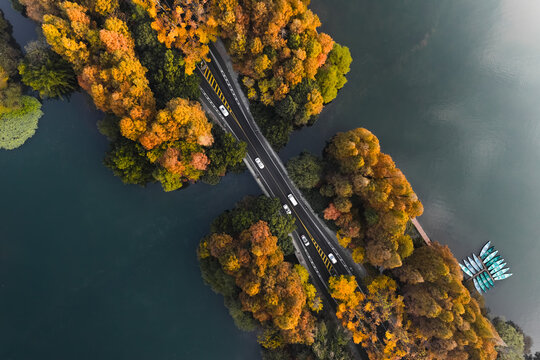 Aerial view of a bridge slicing through the serene lake waters, flanked by vibrant autumn trees, their golden leaves reflecting the soft sunlight, City Name, State Name, Country Name.