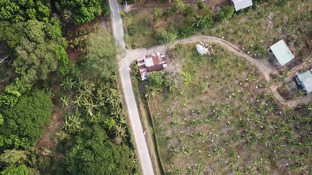 long, narrow road paved on the rugged terrain of a forested agricultural settlement at the outskirts of a small town. Drone, aerial