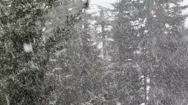 Beautiful white snow flurries falling gracefully over the mountain base of Upper Village in Whistler Blackcomb, BC, Canada.