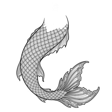 Hand drawn technical line art of an exotic mermaid tail with scalloped scales isolated.