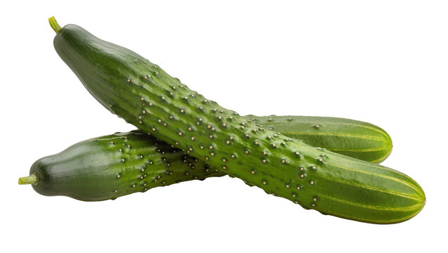 Three long green bumpy cucumbers with stems