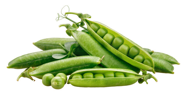 Fresh green pea pods and peas arranged in a pile
