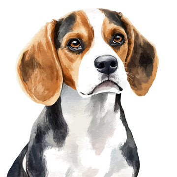 Beagle, beautiful watercolor illustration with vivid colors and detailed vector style, isolated on a white background.