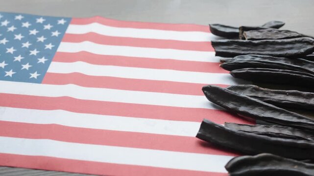 Sweet Carob Pods on American National Flag Close-up