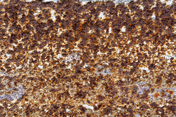 Fototapeta premium Weathered galvanized metal surface with dark stains and dust.