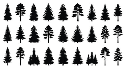 Collection of diverse coniferous trees in black silhouette style © Tanmoy