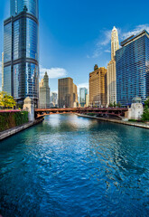 Naklejka premium Stunning view of the Chicago River flowing through the downtown skyline, featuring the iconic Tower, Bridge, and historic architecture under a bright blue summer sky.