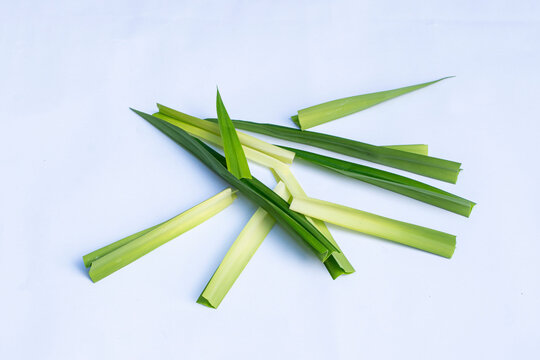 Pandan leaves (Pandanus amaryllifolius) on a white background. Pandan leaves are a basic cooking ingredient