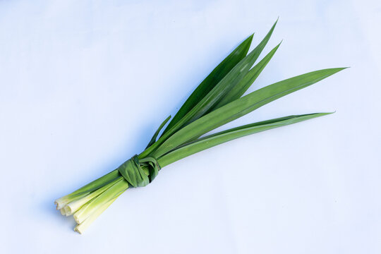 Pandan leaves (Pandanus amaryllifolius) on a white background. Pandan leaves are a basic cooking ingredient