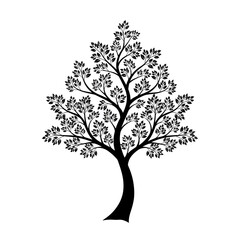 Obraz premium Detailed tree vector illustration with intricate branch and leaf design
