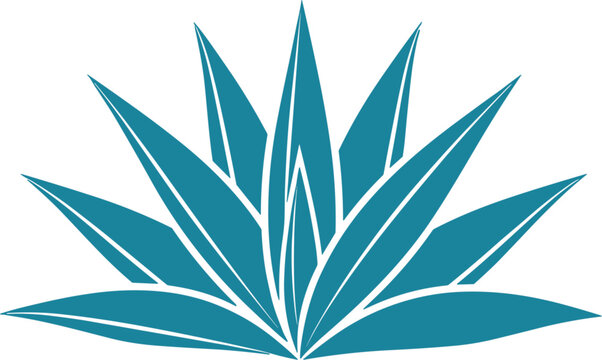 Teal Blue Agave Plant Vector Illustration with Sharp Succulent Leaves for Tequila Branding Desert Landscapes Organic Skincare and Wellness Nature Product Designs