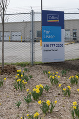 Naklejka premium For Lease signage on fence at older industrial/utility building, 120–150 Lake Shore Blvd E / Unwin Ave area, Toronto