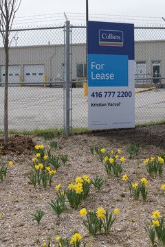 For Lease signage on fence at older industrial/utility building, 120&ndash;150 Lake Shore Blvd E / Unwin Ave area, Toronto
