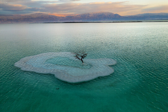 Aerial view of a solitary tree standing resiliently on a pristine white salt island amidst the vibrant turquoise and emerald waters of the Dead Sea, Ein Bokek, Israel.