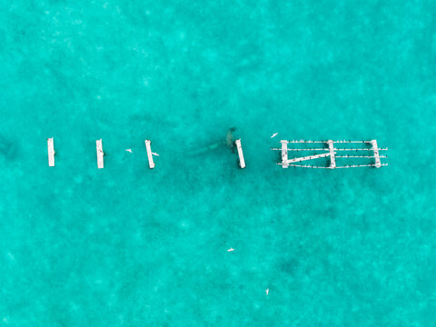 Aerial view of submerged wooden structures and flying birds in the dazzling turquoise waters, revealing a serene yet haunting scene, Hoarafushi, Thiladhunmathee Uthuruburi, Maldives.