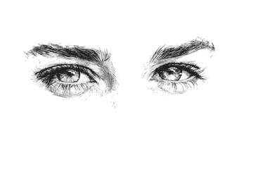 Obraz premium Detailed sketch of female eyes with expressive eyebrows and lashes