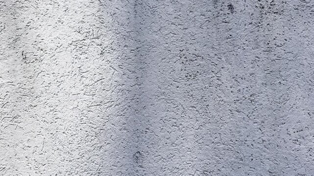 Branch shadows drift across a rough gray plaster wall.