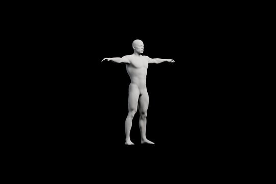 Mannequin T-pose front three-quarter view