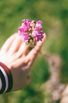 Processed with VSCO with q8 preset