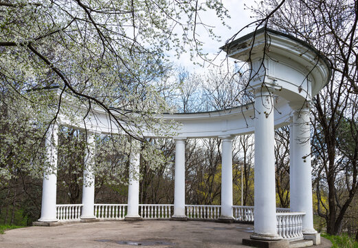 Open semi-rotunda gazebo in Essentuki City Park in springtime, surrounded by blossoming apple and cherry trees on sunny April day. Oreanda observation deck 1903 in Kurortny Park