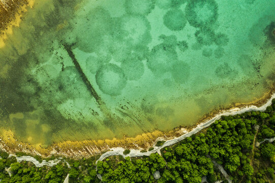 Aerial view of vibrant turquoise waters revealing submerged patterns contrasting with a rugged yellow shoreline and dense emerald forests, Sibenik, Sibenik-Knin County, Croatia.