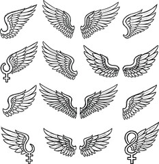 Obraz premium Angel wings vector set with female gender symbols with black and white