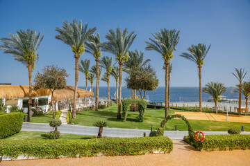 Obraz premium Beautiful hotel garden area with green lawn and tall palms near the sea coast, luxury summer vacation destination for relaxation and leisure under a clear sky