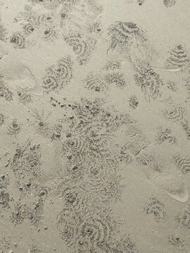 circular patterns on a sandy beach created by small sand bubbler crabs