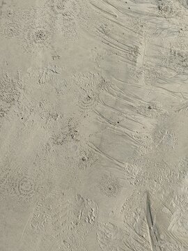 circular patterns on a sandy beach created by small sand bubbler crabs