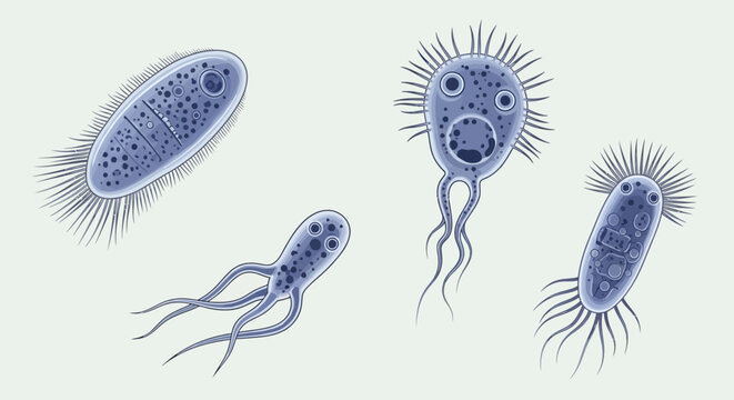 Microscopic view of diverse bacteria with flagella and pili.