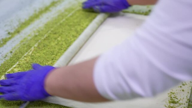 Close-up of a chef sprinkling ground pistachios over thin phyllo dough and rolling it with a rod during baklava preparation. Traditional Turkish dessert making process in a professional kitchen.