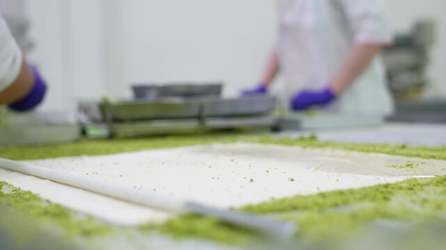 borek, borek making, phyllo dough, dough folding, pastry folding, thin dough, layered dough, savory pastry, pastry preparation, tray, tray placement, preparation stage, kitchen, gastronomy, Turkish cu