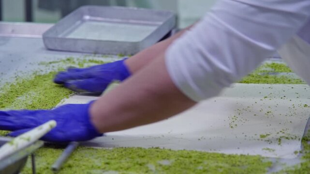 borek, borek making, phyllo dough, dough folding, pastry folding, thin dough, layered dough, savory pastry, pastry preparation, tray, tray placement, preparation stage, kitchen, gastronomy, Turkish cu