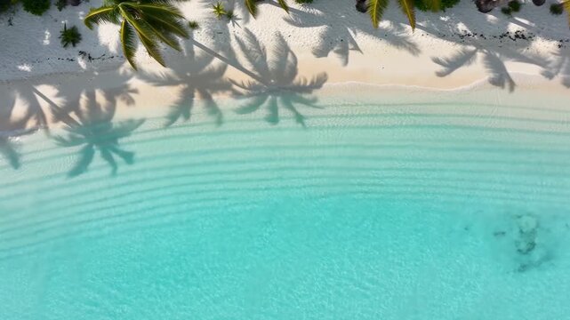 Aerial view of tropical beach with palm tree shadows on white sand