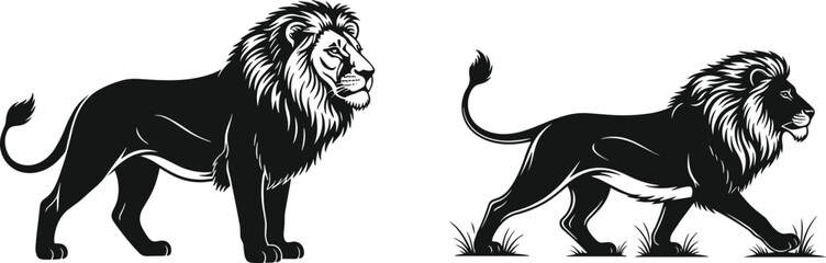 Lion Silhouette Set with Majestic Male Lion in Standing and Walking Poses for Wildlife Vector Illustration. © MstSuborna