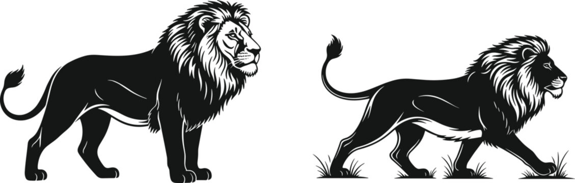 Lion Silhouette Set with Majestic Male Lion in Standing and Walking Poses for Wildlife Vector Illustration.
