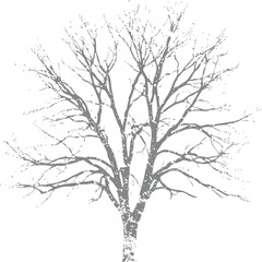 Fototapeta premium Detailed silhouette of bare winter tree with intricate branches isolated on white background for seasonal and environmental design projects