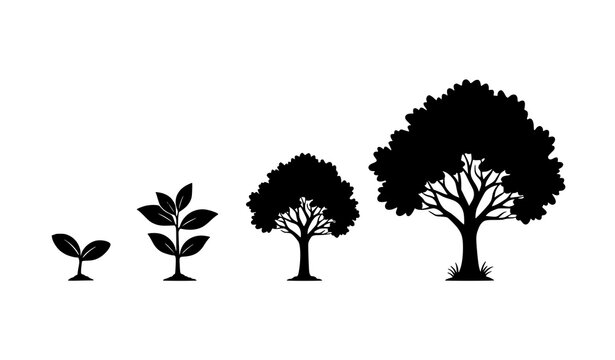 Tree growth stages silhouette vector illustration nature evolution set