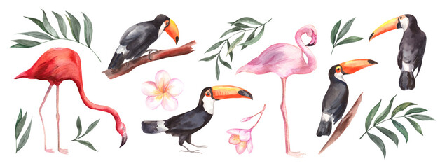 Fototapeta premium Set of Summer Watercolor illustrations Tropical birds and plants isolated on a white background. Toucans and pink Flamingos with plumeria flowers and palm leaves