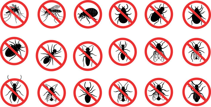 Prohibited insects icons vector set with mosquito fly ant beetle and pest warning symbols flat no bug signs collection