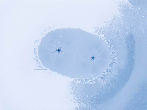 Abstract background of blue ink dissolving in water, creating unique patterns and textures, concept for creativity.