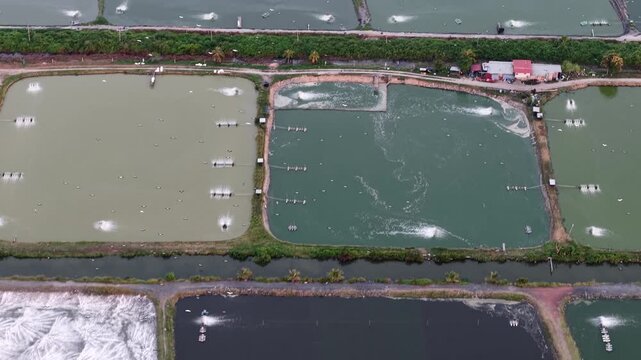 Aerial view of shrimp and fish ponds at Sungai Udang aquaculture site in Nibong Tebal, Malaysia.