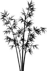 Fototapeta premium Minimalist black bamboo plant silhouette isolated on white background