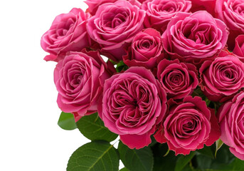 Fototapeta premium Beautiful bouquet of vibrant pink roses isolated on transparent background