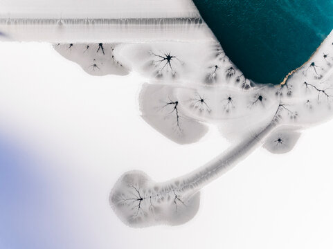 Abstract background. Blue ink spreads on white surface, creating organic patterns, copy space.