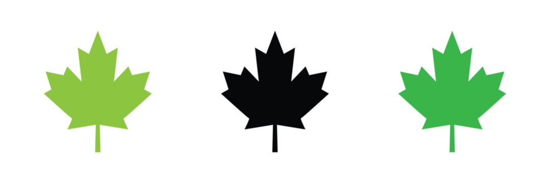 Maple leaf icon isolated on transparent background. maple leaf transparency logo concept. maple leaf sign. flat style. vector  Illustration . EPS 10 .