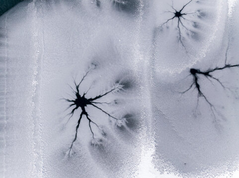 Ice texture background. Frozen lake surface with cracks resembling tree branches, winter landscape, Fusine lakes, Tarvisio, Friuli, Italy.