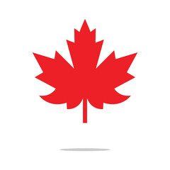 Fototapeta premium Maple leaf icon isolated on transparent background. maple leaf transparency logo concept. maple leaf sign. flat style. vector Illustration . EPS 10 .